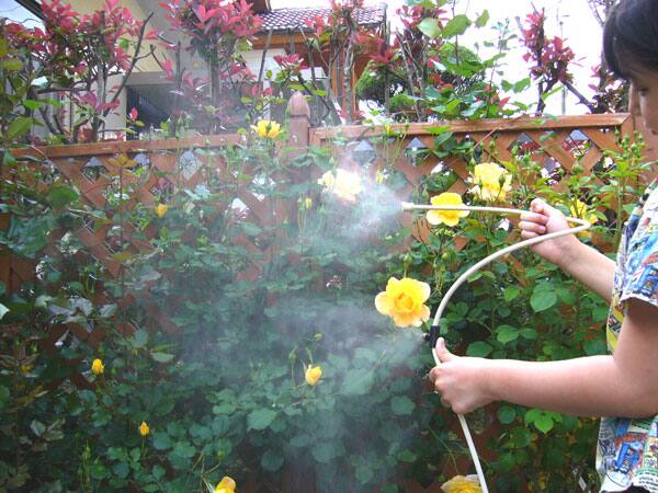 ドライミストの噴霧